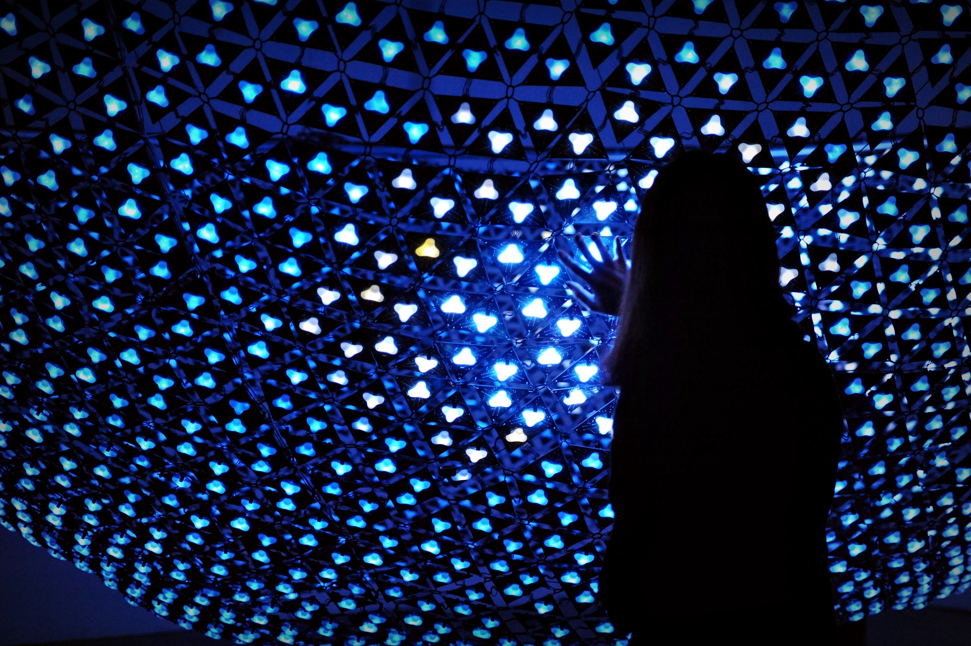 프로젝트 사진 13